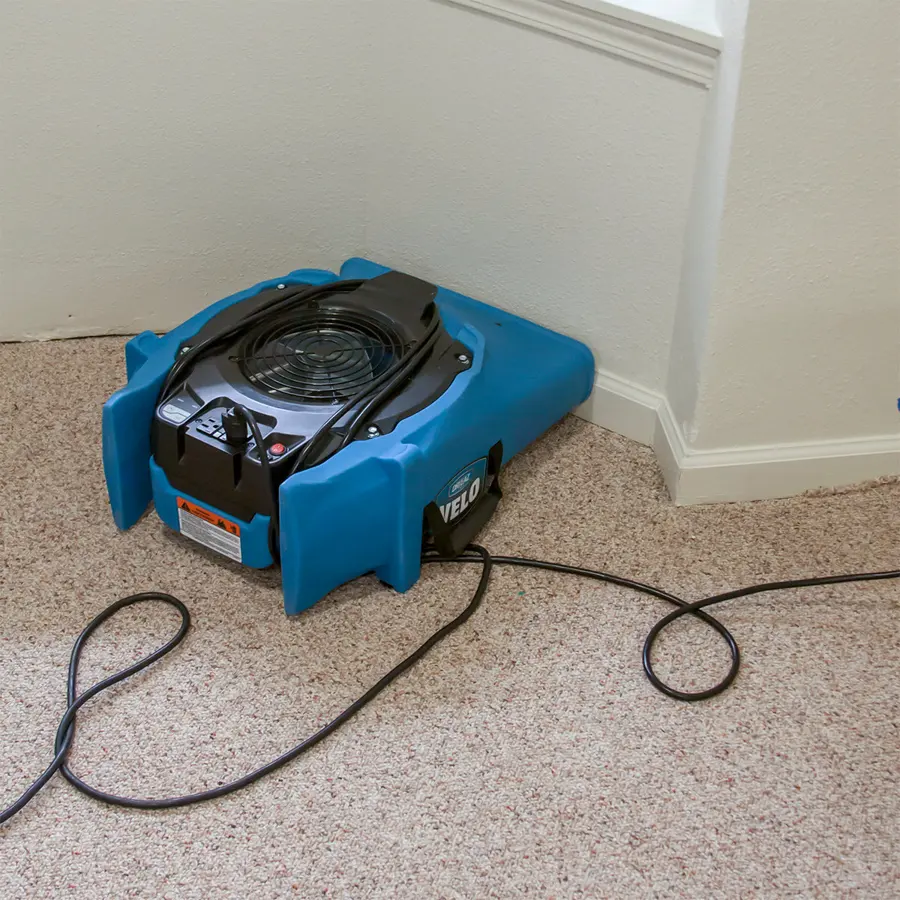 Air movers drying a floor after water extraction