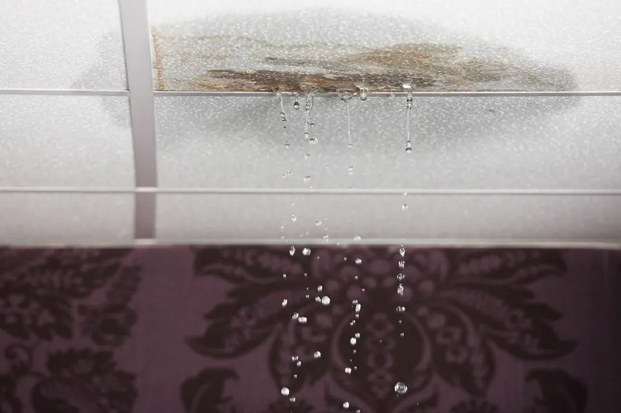 Water-stained ceiling in a Des Plaines, IL home