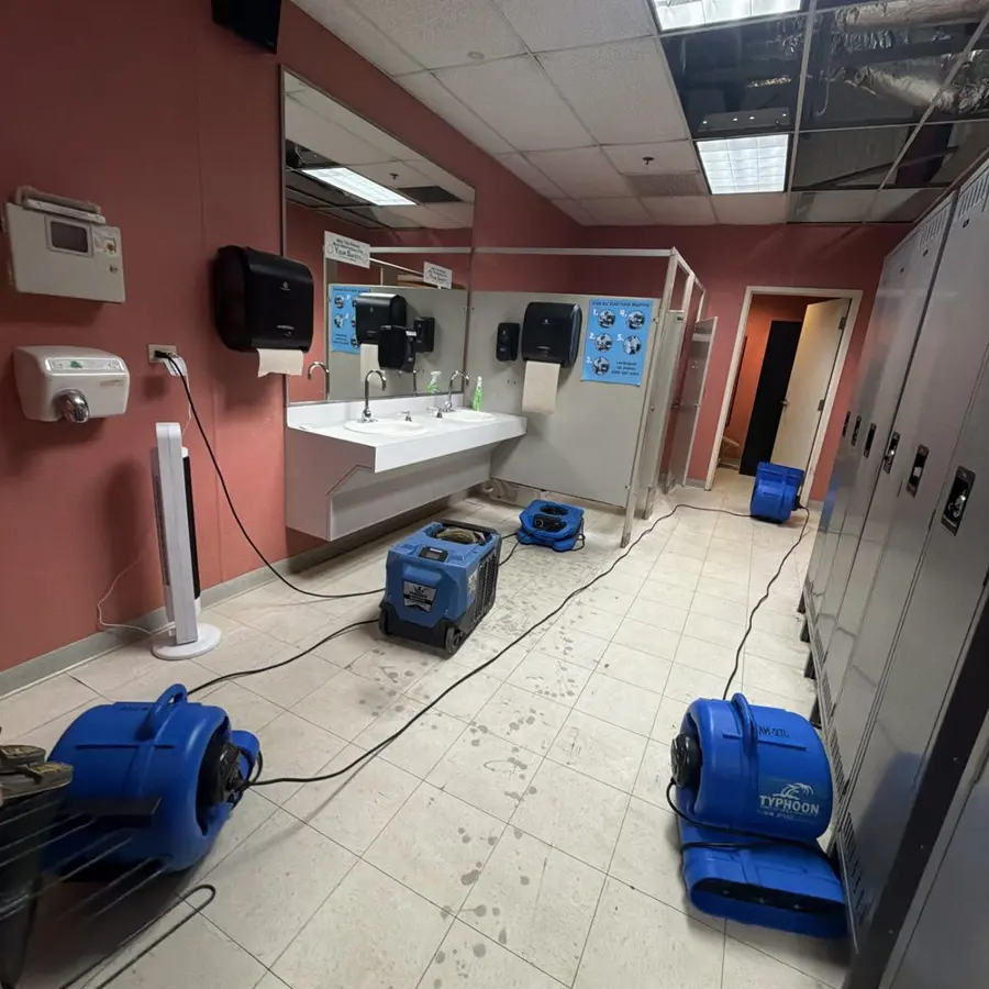 Commercial water damage restoration in a Des Plaines, IL business
